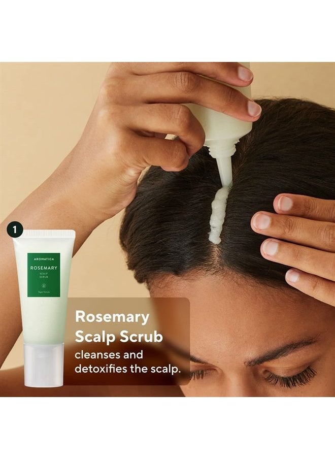 AROMATICA Rosemary Scalp Scaling Trial Kit - Gift Set - Mini Wooden Hair Brush - [Shampoo 3.38 fl. oz. / Root Enhancer 1.01 fl. oz. / Scalp Scrub 1.01 fl. oz.] - For Clearer and Dandruff Free Hair - P  - Image 3