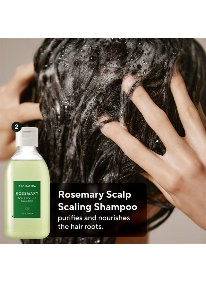 AROMATICA Rosemary Scalp Scaling Trial Kit - Gift Set - Mini Wooden Hair Brush - [Shampoo 3.38 fl. oz. / Root Enhancer 1.01 fl. oz. / Scalp Scrub 1.01 fl. oz.] - For Clearer and Dandruff Free Hair - P  - Image 4