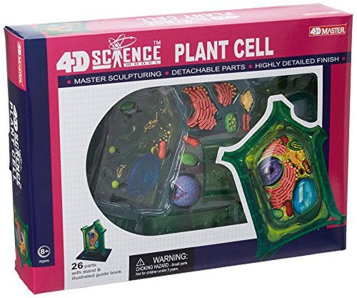 TEDCO Famemaster 4DScience Plant Cell Anatomy Model - Image 1