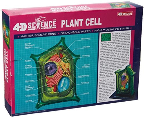 TEDCO Famemaster 4DScience Plant Cell Anatomy Model - Image 5