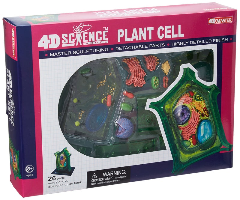 TEDCO Famemaster 4DScience Plant Cell Anatomy Model - Image 3