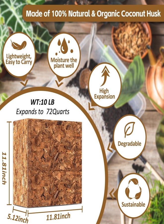 Riare 10LBS Coco Chips Substrate for Plants- 100% Organic Coconut Husk Chips with Low EC and pH Balanced, High Expansion Coconut Substrate Coco Husk Mulch for Garden Flowers, Herbs, Planting - Image 2