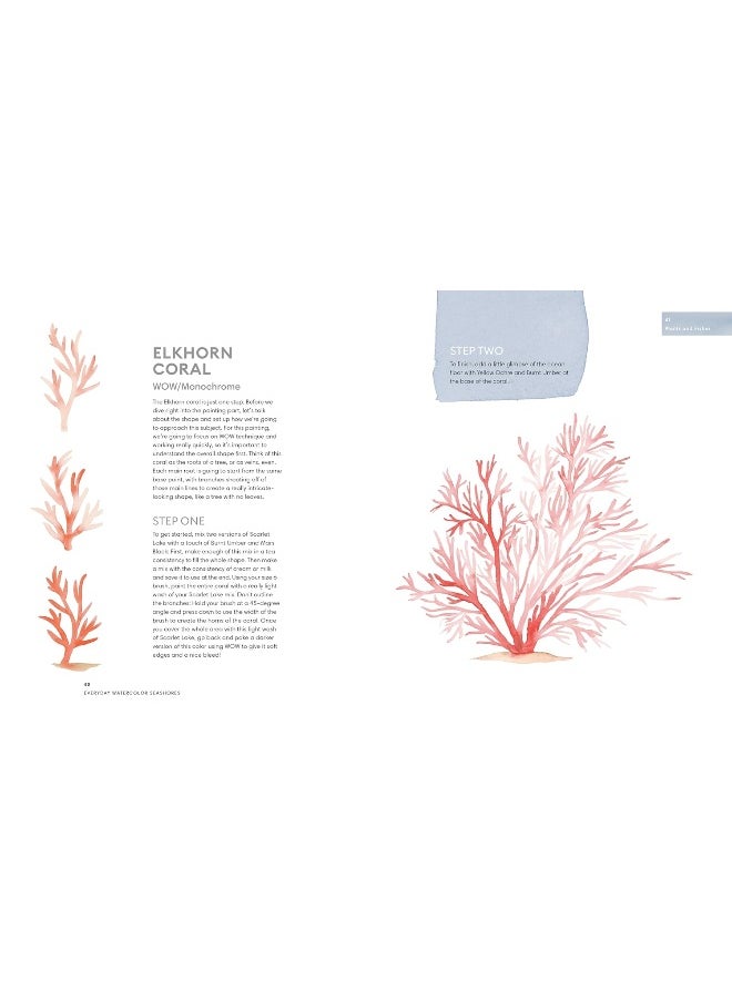 Everyday Watercolor Seashores: A Modern Guide to Painting Shells, Creatures, and