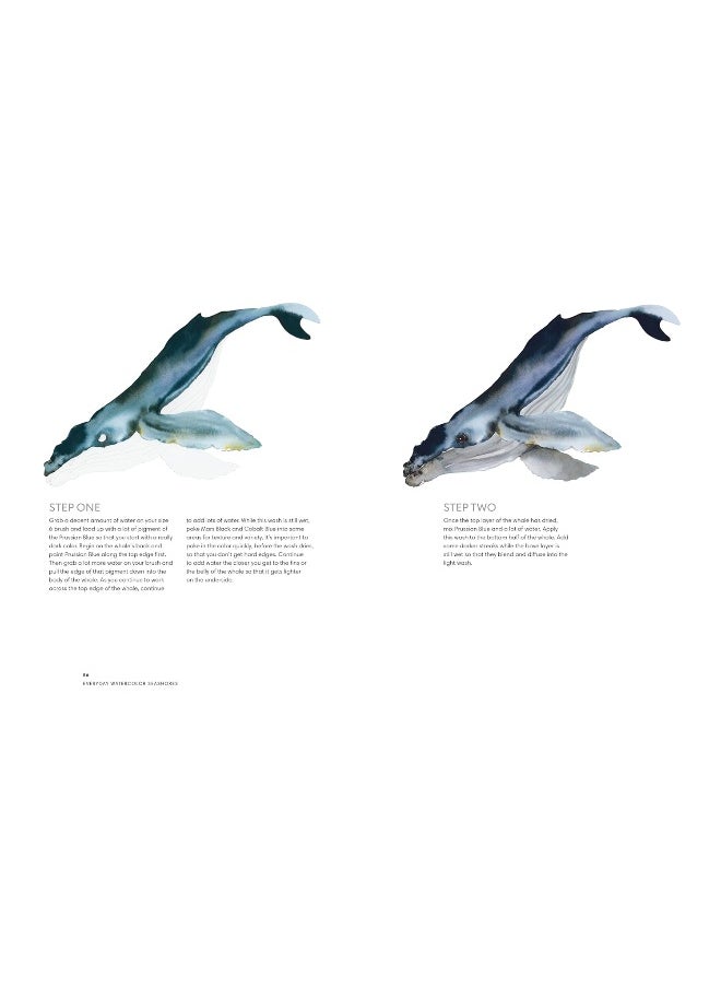 Everyday Watercolor Seashores: A Modern Guide to Painting Shells, Creatures, and