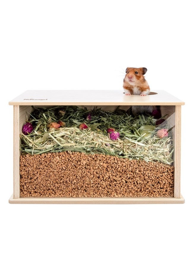 Niteangel Visible Hamster Digging Box for Syrian Dwarf Roborovski Campbell Hamsters Gerbils Mice Lemmings Degus or Other Small-Sized Pets (Burlywood) - Image 1