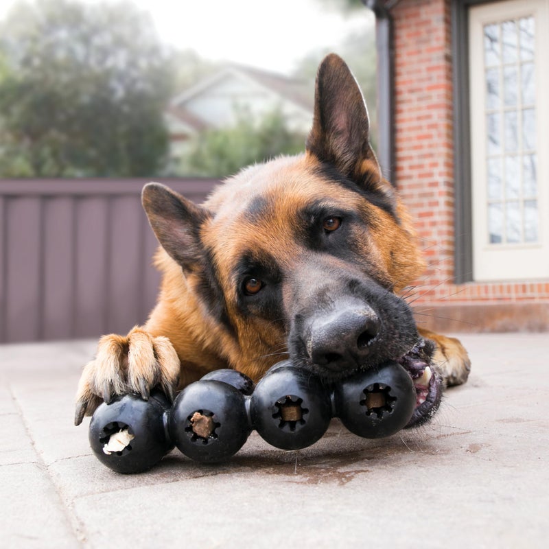 KONG Extreme Goodie Ribbon - Stuffable Dog Toy for Play - Chew Toy Satisfies Natural Chewing Instincts - for Large Dogs - Image 4