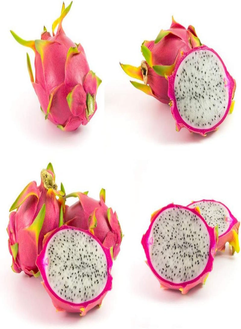 GGOOT 20Pcs Pitaya Seeds Dragon Fruit Perennial Climbing Succulent Fruit Seed Planting in Garden Courtyard Easy to Germinate Don't Need Much Care Enjoy Joy of Harvest - Image 1