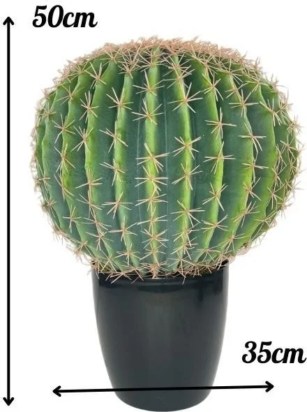 Netten Evime Artificial Flower Echinocactus Grusonii Golden Barrel Cactus 50*35CM Cactus in Black Pot SK4010S