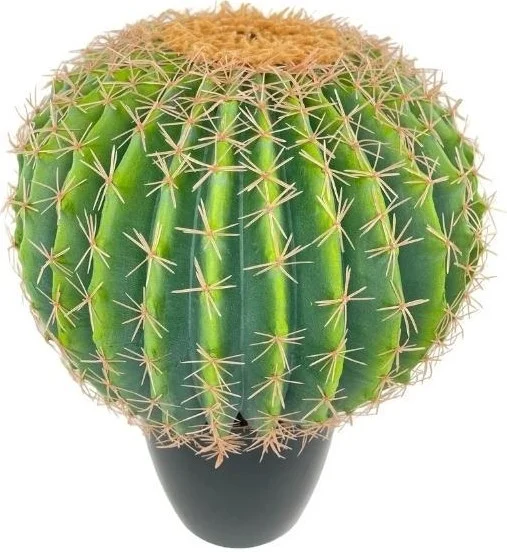 Netten Evime Artificial Flower Echinocactus Grusonii Golden Barrel Cactus 50*35CM Cactus in Black Pot SK4010S