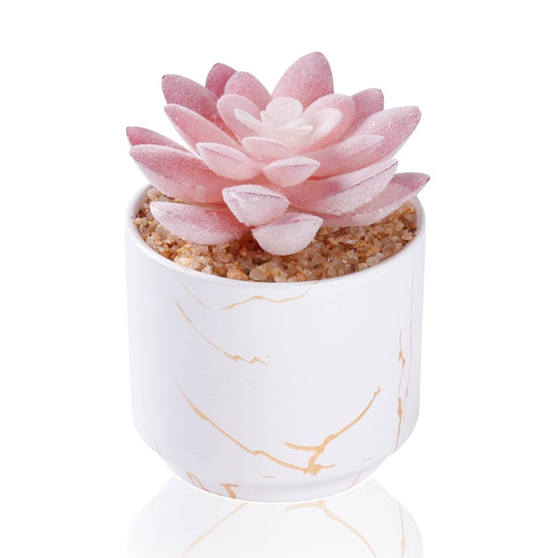 ZENIDA Succulent Artificial PlantsCute Fake Succulents in 1 White Ceramic PotsSmall Fake Plants for OfficeTableDeskBathroom BedroomAesthetic Room Shelves DecorDesk Decorations for Women Office