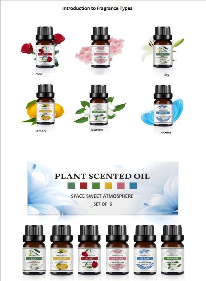 Aromatherapy essential oil 6 pack purple - Image 2