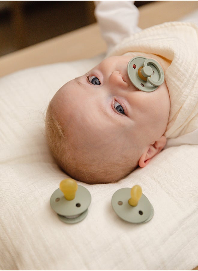 BIBS - Liberty Colour Latex Pacifiers, Size 1, Capel Design, 2-Pack, Sage Mix - Image 1