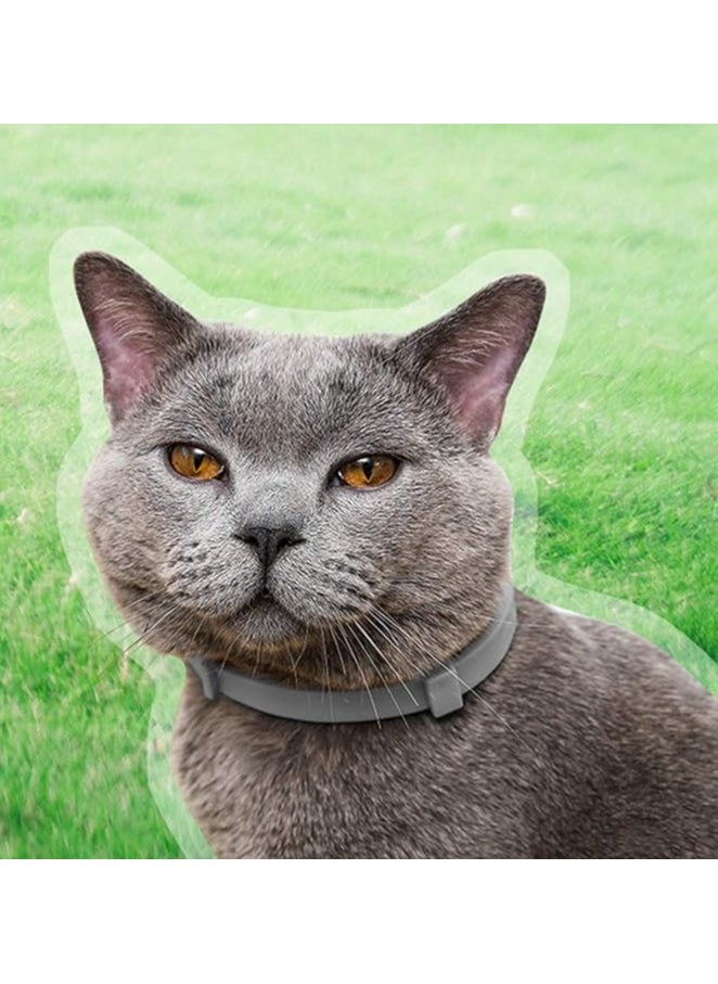 MIRFA - Cat Insect Repellent Collar For 8 Months Protection - Image 1