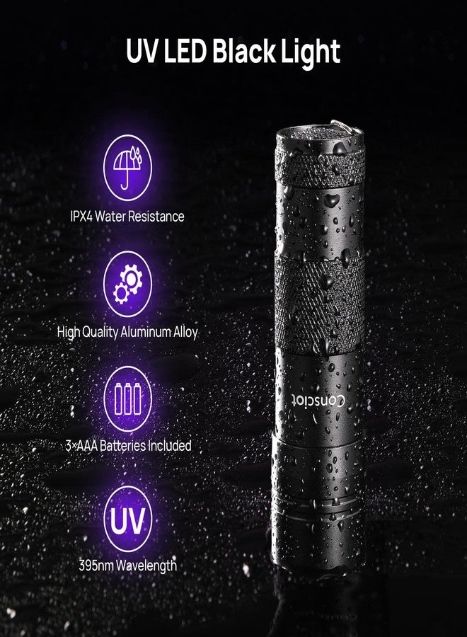 مصباح يدوي بالأشعة فوق البنفسجية، مصباح كونسيوت 12 LED 395 نانومتر بالأشعة فوق البنفسجية، مصباح يدوي صغير محمول لكشف بول الحيوانات الأليفة (الكلاب/القطط)، والبقع الجافة، وبق الفراش، متوافق مع مزيل روائح الحيوانات الأليفة - Image 3