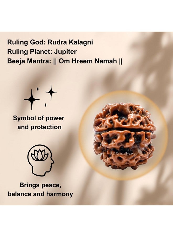 Crystal Heaven Crystal Heaven 5 Mukhi Rudraksha Original Certified Bead - Natural Nepali 5 Mukhi Rudraks For Meditation And Prayer, Protection, Chakra Balancing, Spiritual Growth And Diy Pooja Supplies  - Image 4