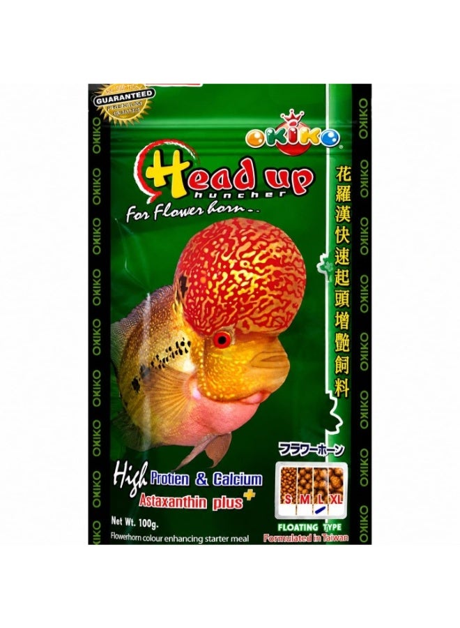 OKIKO Head Up Huncher High Protein & Calcium Floating Pellets with Astaxanthin Plus Flowerhorn Cichlid Fish Food - Image 2