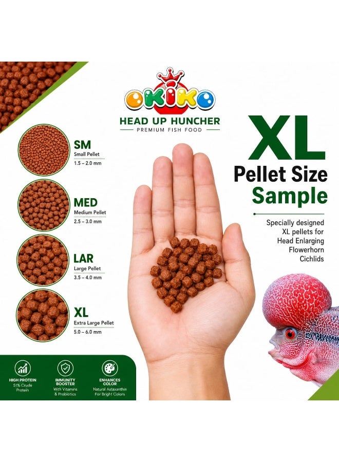 OKIKO Head Up Huncher High Protein & Calcium Floating Pellets with Astaxanthin Plus Flowerhorn Cichlid Fish Food - Image 5