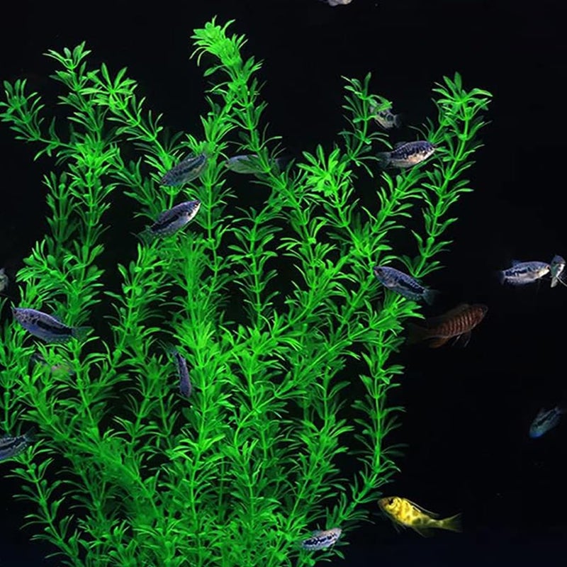 DSkoiph 2 pcs Aquarium Decor Plastic Plants Extra Large 21 Inches Artificial Fish Tank Plants Tall Fish Tank Decorations Artificial Green Water Plants (Green) - Image 4