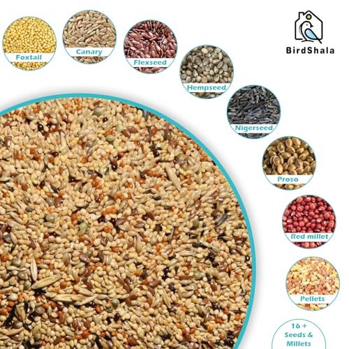 BirdShala Bird Food for Budgies & Finches 1 Kg. | Premium Seed Blend of Grains, Millets & Fruit Pellet - Image 2