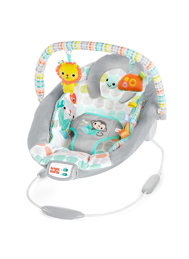 Bright Starts - Cradling Bouncer - Whimsical Wild - Image 1