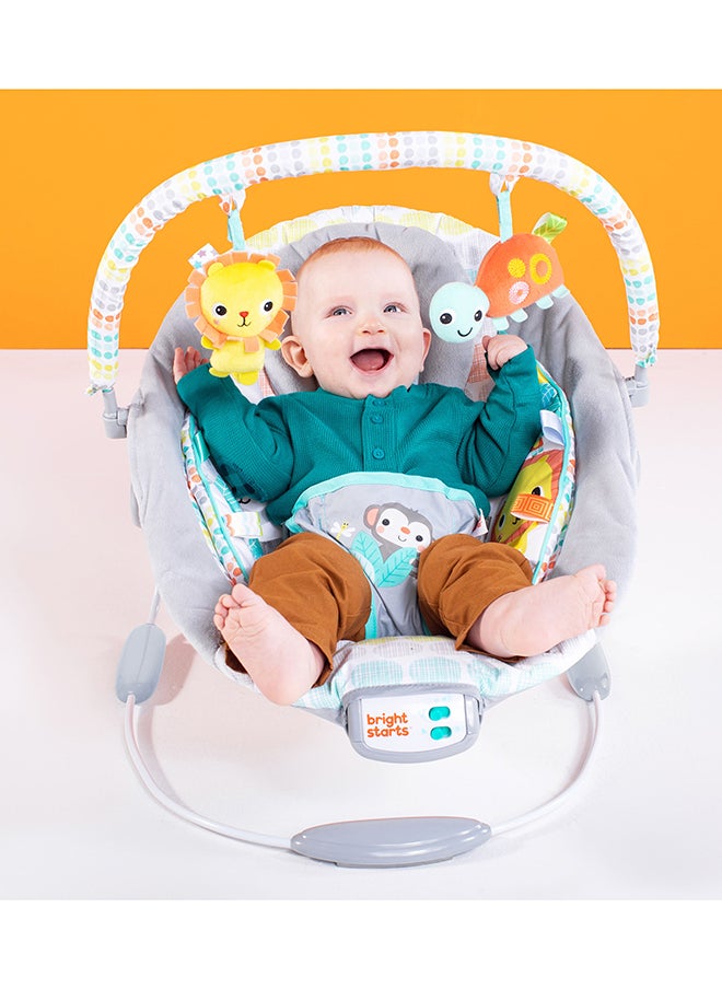 Bright Starts - Cradling Bouncer - Whimsical Wild - Image 1