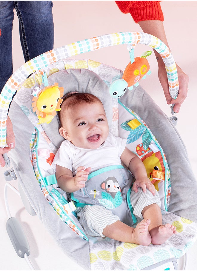 Bright Starts - Cradling Bouncer - Whimsical Wild - Image 1