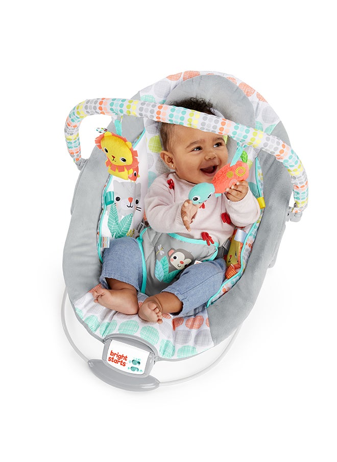 Bright Starts - Cradling Bouncer - Whimsical Wild - Image 1