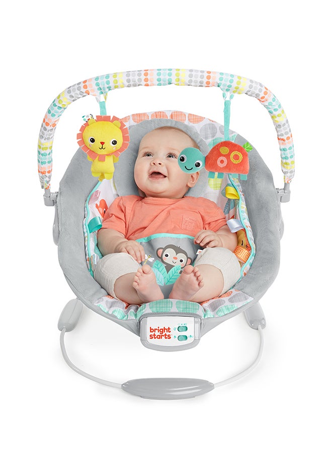 Bright Starts - Cradling Bouncer - Whimsical Wild - Image 1