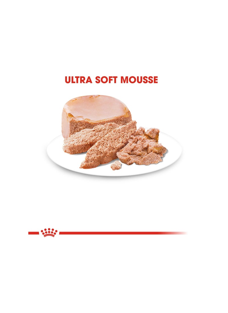 Starter Mousse Mother and Baby Dog Food 195g - pzsku/ZB765DD952D767DE338D9Z/45/_/1671433633/8cef22c7-b90f-4983-a8ca-0673aca90614