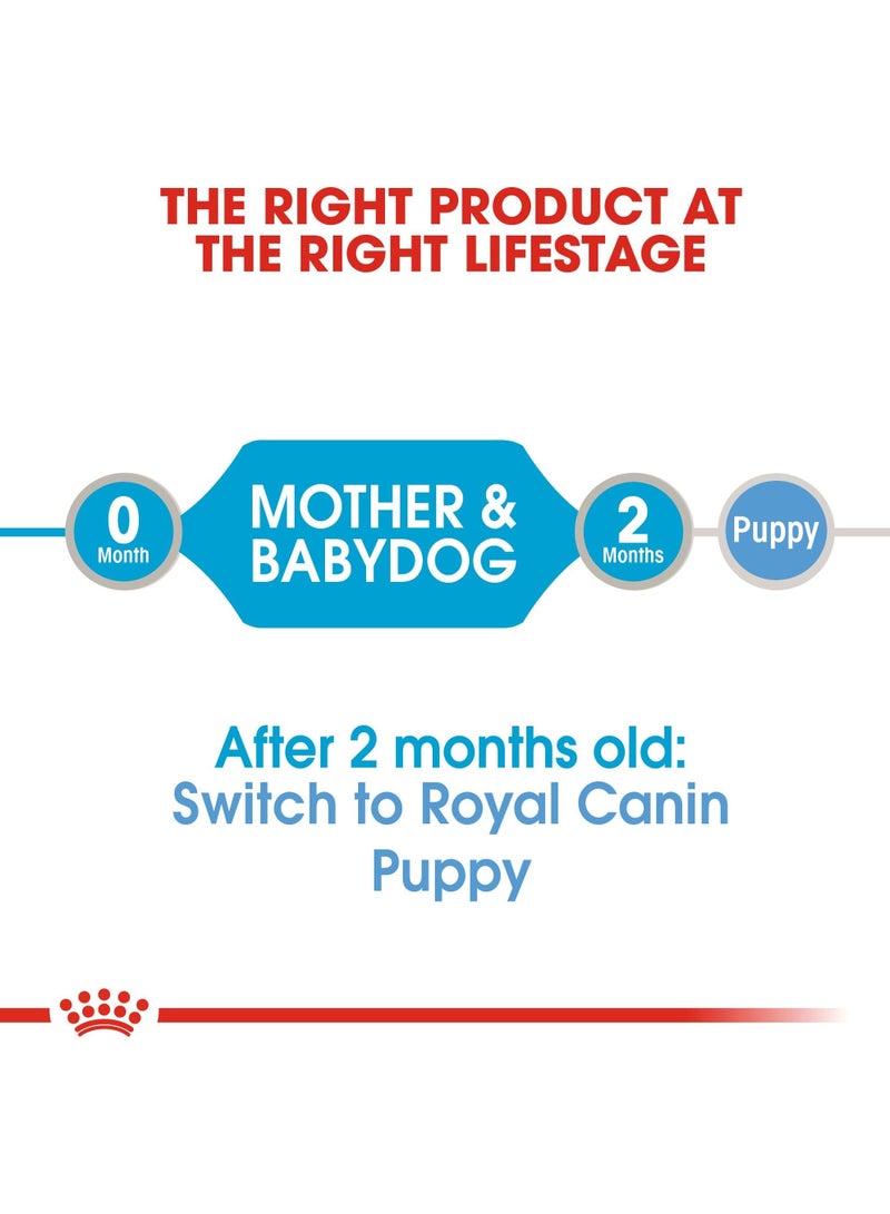 ROYAL CANIN طعام موس للكلاب الأم والطفل 195 جرام - Image 5