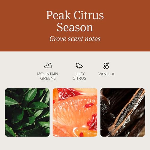 drift Car Air Freshener - Wood Air Freshener - Car Odor Eliminator - Grove Scent Starter Kit Black - Image 3