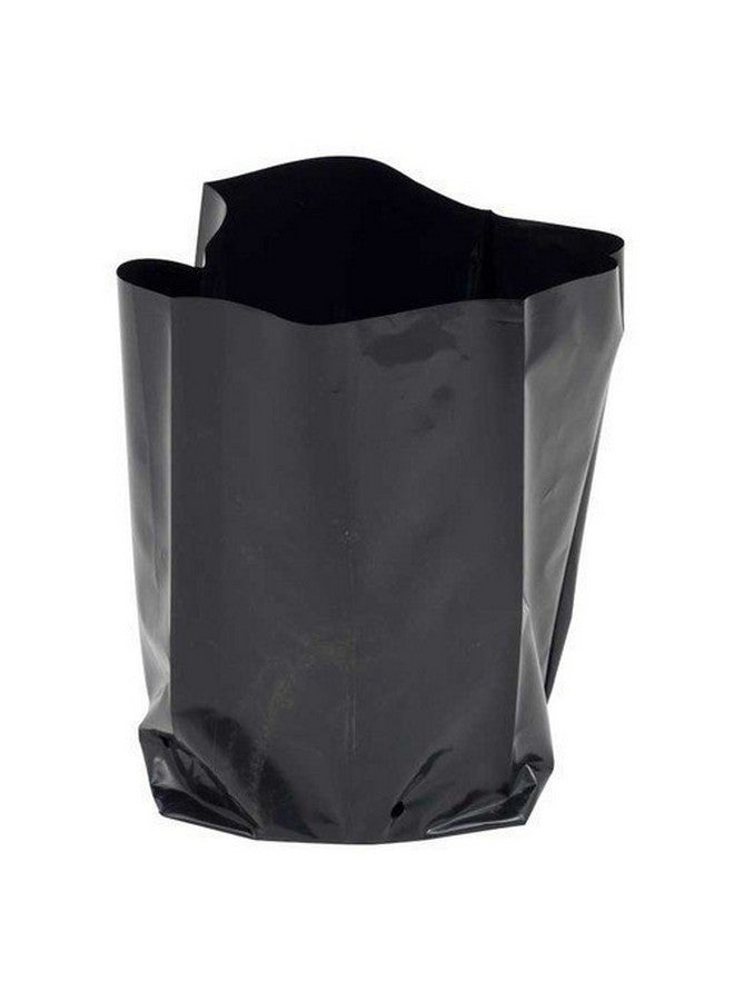 Go Garden أكياس نباتات بلاستيكية محمية من الأشعة فوق البنفسجية من غو غاردن | أكياس نباتات للحديقة المنزلية | (أسود، 12 × 12 بوصة) - 50 قطعة - Image 1
