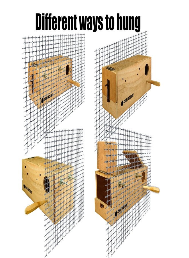 Crib factory African Love Birds Large Long Breeding Box | HIGH-QALITY Plywood | 17 X 6 X 7 INCH - Image 3