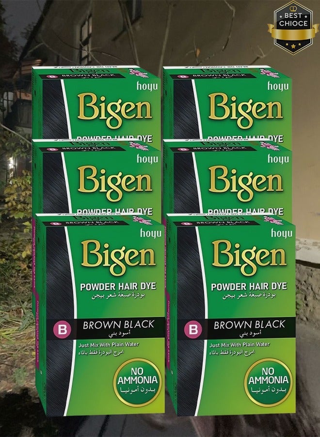 بايجن 6 قطع بودرة صبغ الشعر باللون البني والأسود مع الماء العادي بدون أمونيا 6 جرام - Image 1
