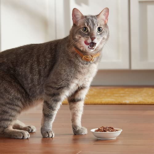 Meow Mix Tenders in Sauce Wet Cat Food, Chicken & Beef, 2.75 Ounce Cup (Pack of 12) - Image 5
