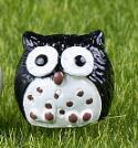 Generic Mini 4-Color Owl Moss Terrarium Resin Craft 3# Black 