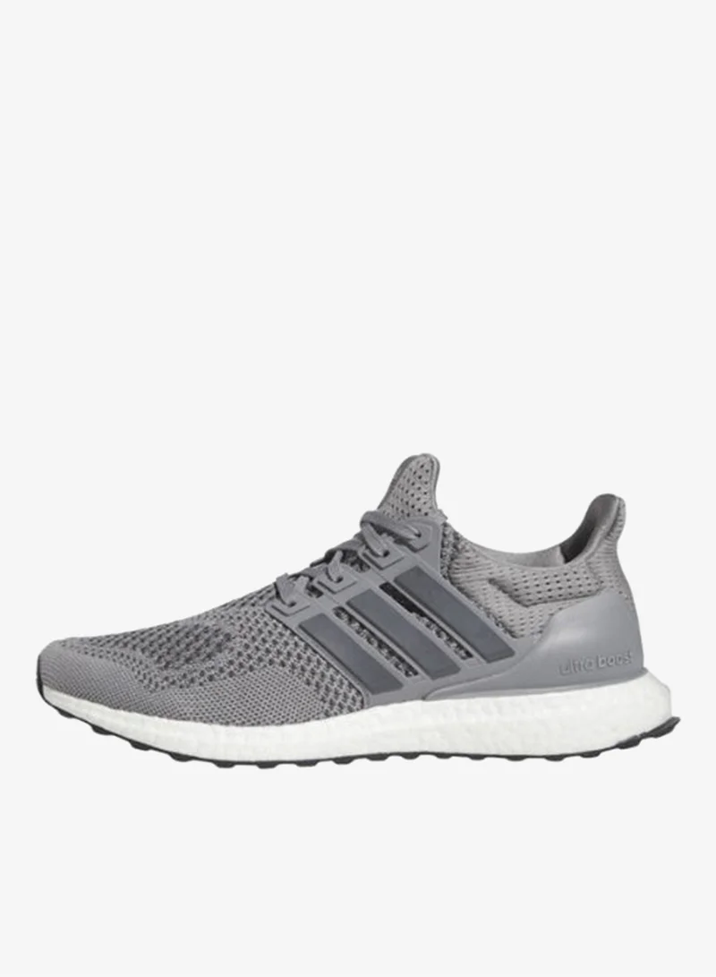 Adidas GRETHR/GREFIV/CBLACK Ultraboost 1.0 Shoes for Men | Best Price UAE