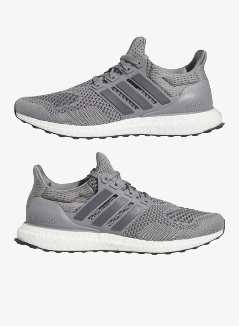 Adidas GRETHR/GREFIV/CBLACK Ultraboost 1.0 Shoes for Men | Best Price UAE