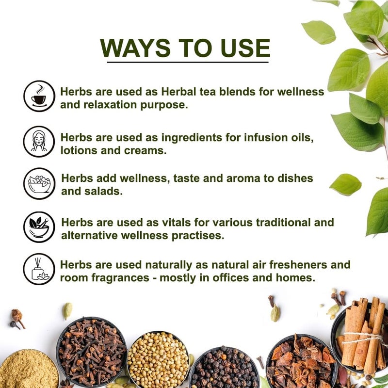 TEACURRY Organic Brahmi Leaves (50 Gram) - Helps with Relaxation, Calmness & Body Wellness - Fresh from Punjab, India - All Natural Ingredients - Image 3