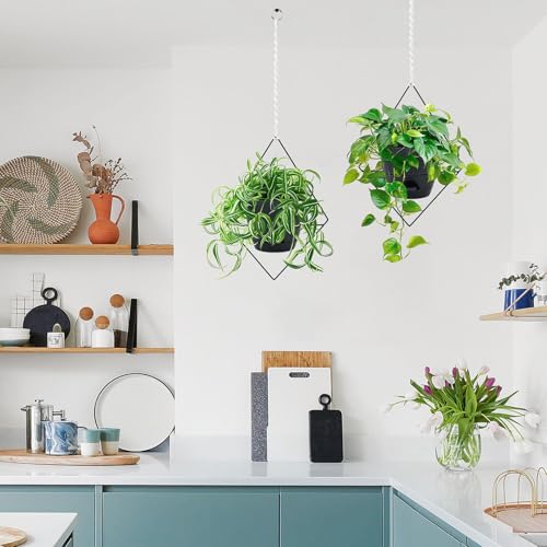 Koalaime Hanging Planters for Indoor Plants, 2 Set Self Watering Hanging Flower Pots, Modern Hanging Plant Baskets with Metal Plant Holder & 6.5 Inch Plastic Pots for Garden Home Decor (Black) - Image 4