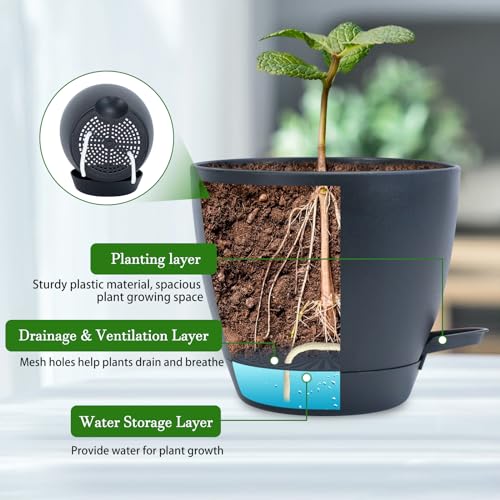 Koalaime Hanging Planters for Indoor Plants, 2 Set Self Watering Hanging Flower Pots, Modern Hanging Plant Baskets with Metal Plant Holder & 6.5 Inch Plastic Pots for Garden Home Decor (Black) - Image 5