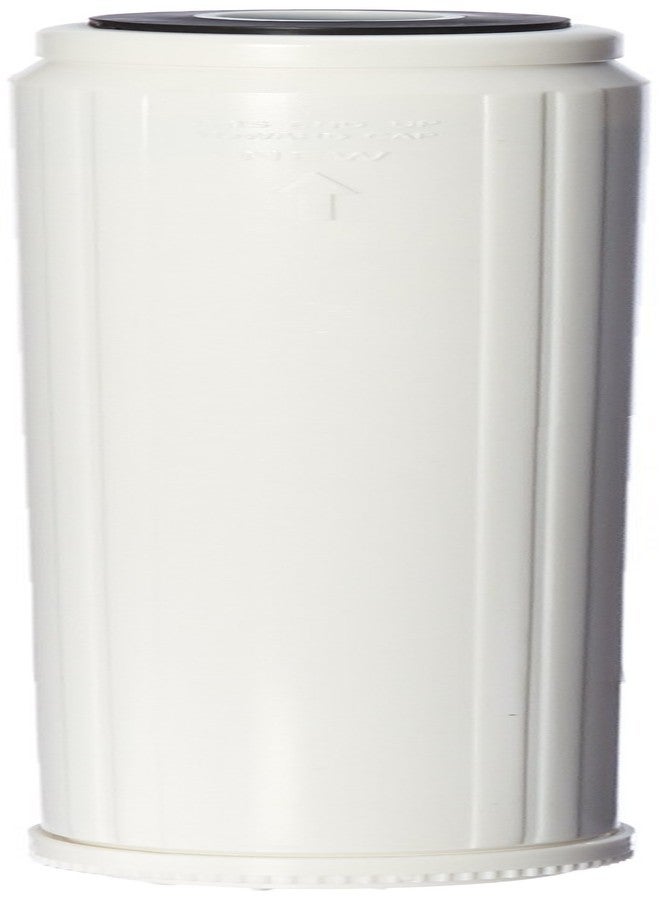 Intelifil (IF-SM-CC020) 20"x2.5" 10,000 Gal. Calcite Low pH Neutralizer Filter