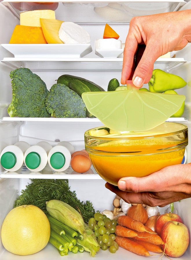 تشارلز فيانسين غطاء زنبق الماء من تشارلز فيانسين - صغير 6 بوصات - Image 5