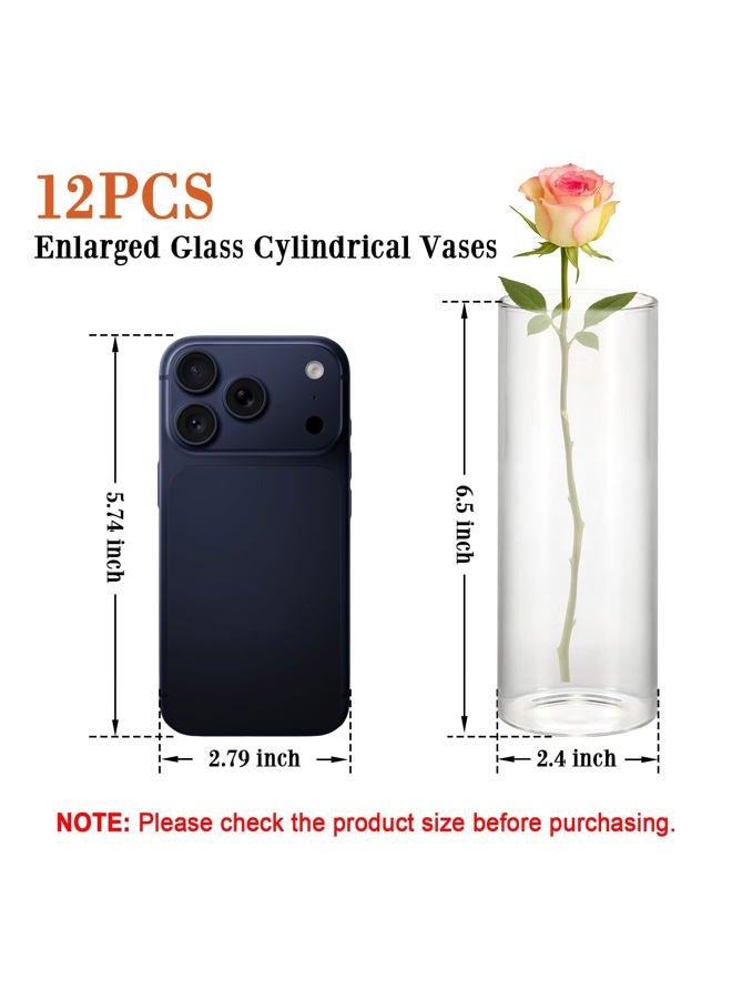 Tigvio 12 Pcs Clear Glass Cylinder Vases, 6.5" Tall x 2.4" Diameter Flower Vases for Centerpieces, Hurricane & Floating Candle Holders for Weddings, Parties, Home Decor,Table Displays - Image 2