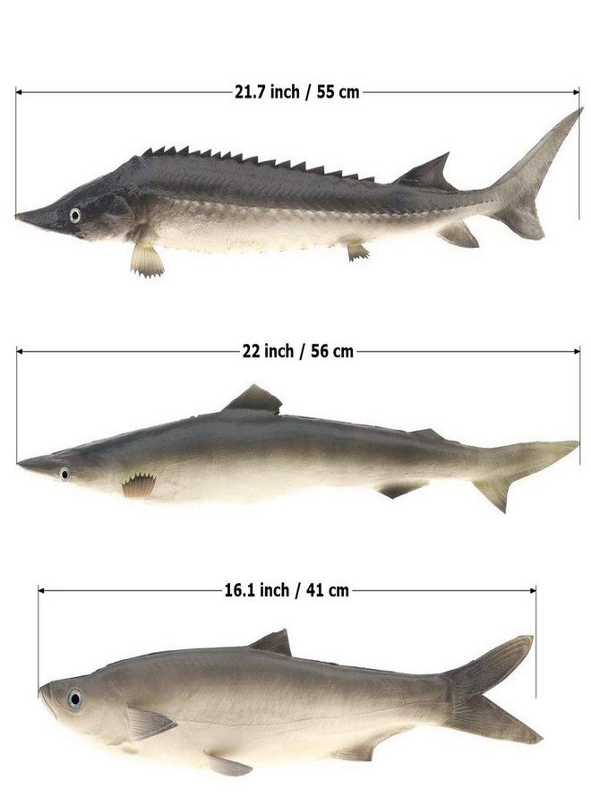 Gresorth 3 PCS Sea Creatures Fake Shark Artificial Chinese Sturgeon Fish Wall Hanging Food Toy Model for Home Party Kitchen Christmas Photography Prop - Image 2