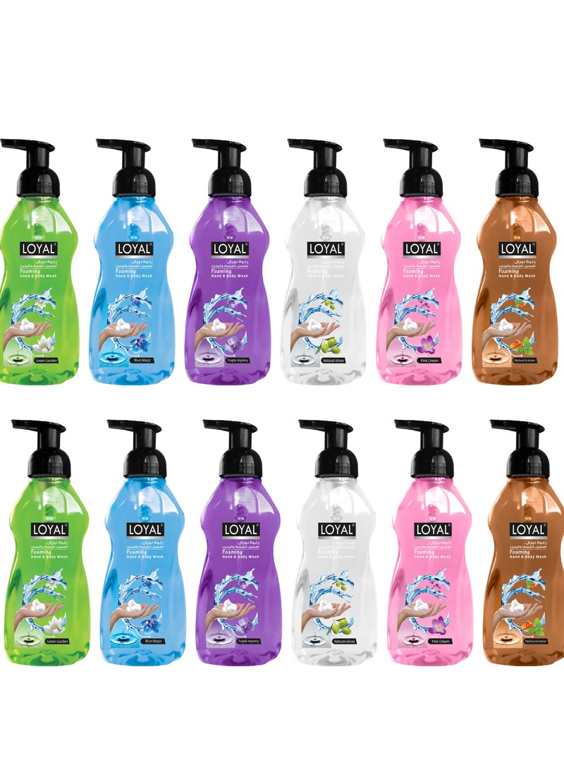 Loyal Antibacterial Foaming Hand And Body Wash 500ml Pack Of 12 - Image 1