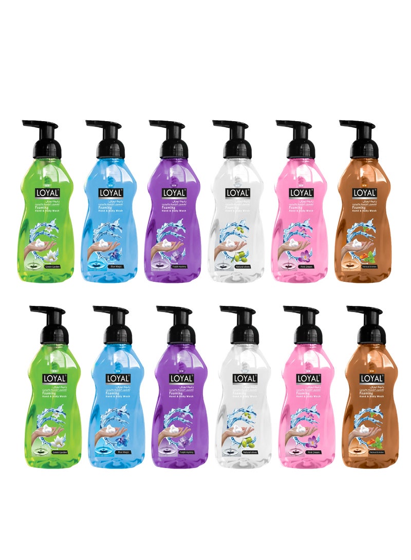 Loyal Antibacterial Foaming Hand And Body Wash 500ml Pack Of 12 - Image 2