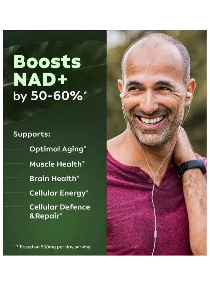 NAD High Purity NAD Supplement True NAD Plus Supplement Resveratrol for Anti-Aging, Energy, Focus DNA Repair and Boost NAD+ for Cellular Energy Metabolism 80 Capsules/Bag - Image 4