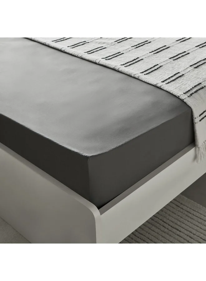 هوم بوكس شرشف سرير قطني أساسي مقاس كوين 200 × 36 × 160 سم