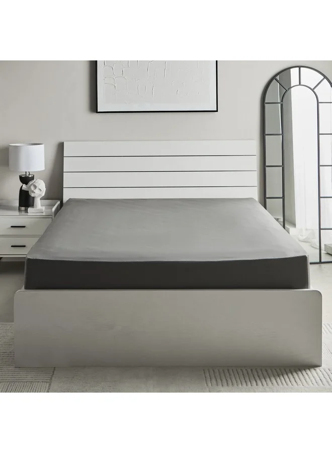 Home Box Essential Cotton Olympic Queen Fitted Sheet 200 x 36 x 160 cm